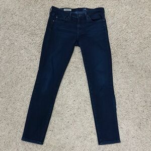 AG Adriano Goldschmied The Stevie Ankle Slim Straight ankle